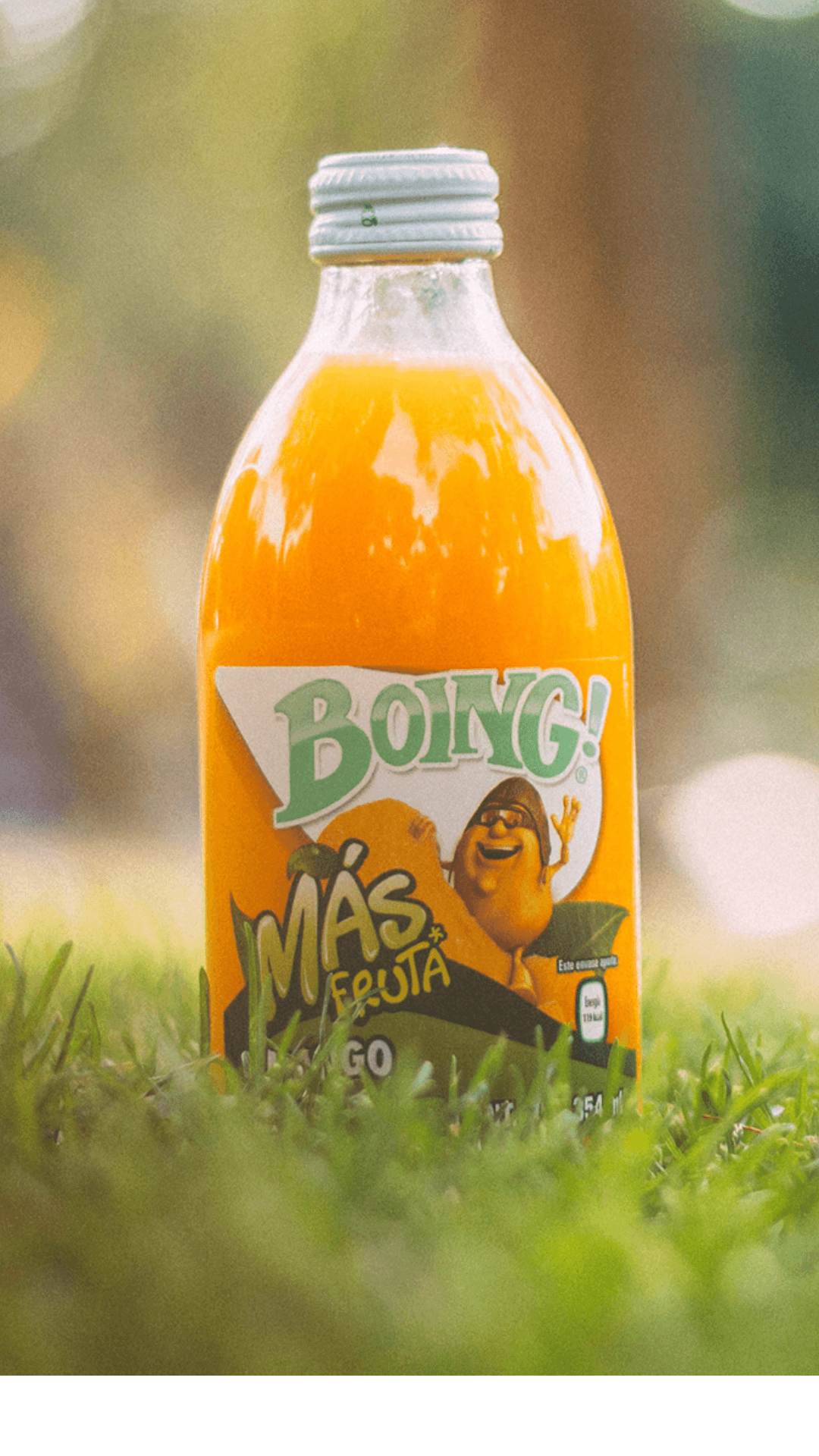 Ejemplo de Imagen de Producto 2